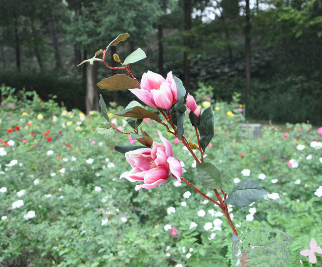 Outlet Pabrik] Magnolia Bunga Buatan Bunga Buatan Pabrik Simulasi Pernikahan Pindah Rumah Dibuka dengan
