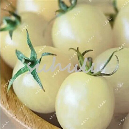 Zeit-Begrenzt! 200 stücke Organischen Tomaten Bonsai, Wassermann Ausgeschlossen Sehr Einfach Interesse Jährliche Sementes Organischen Gemüse Balkon Bons