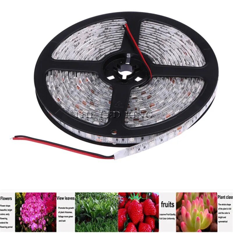 300 LED 5050 칩 식물 램프, 온실 수경 식물용 성장 조명, 전체 스펙트럼 LED 스트립 조명, 5 M
