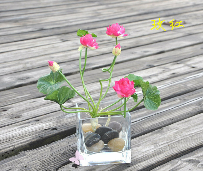 Sklepy fabryczne] mały lotos kwiat fabryka symulacja sztuczne kwiaty jedwabny ślub parapetówkę otwarcie z kwiatami