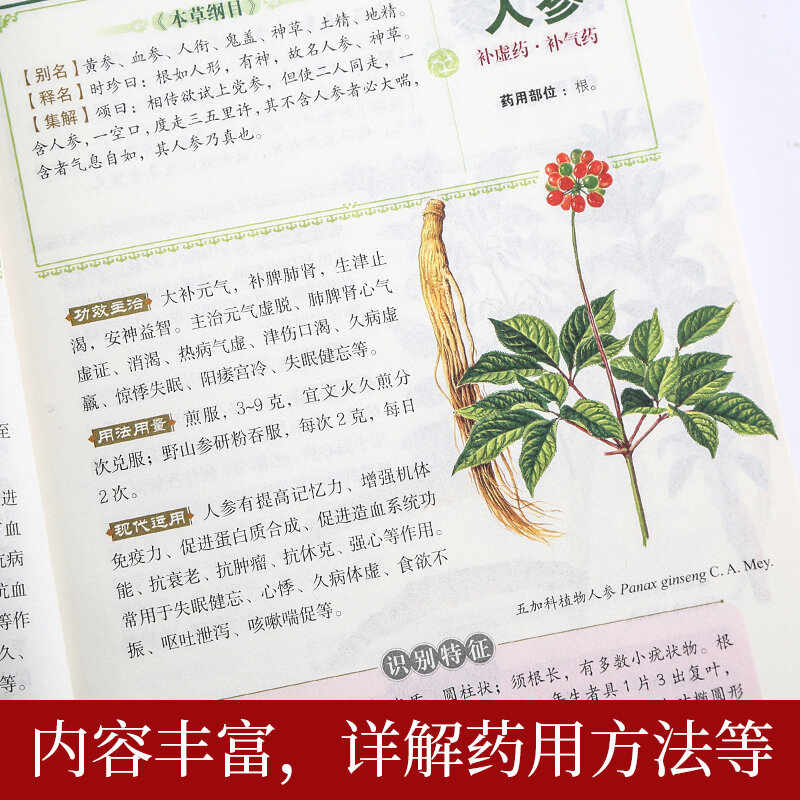Pengobatan Cina Tradisional Baru Li Shizhen Compendium dari Materia Medica dengan Buku Gambar Warna untuk Dewasa