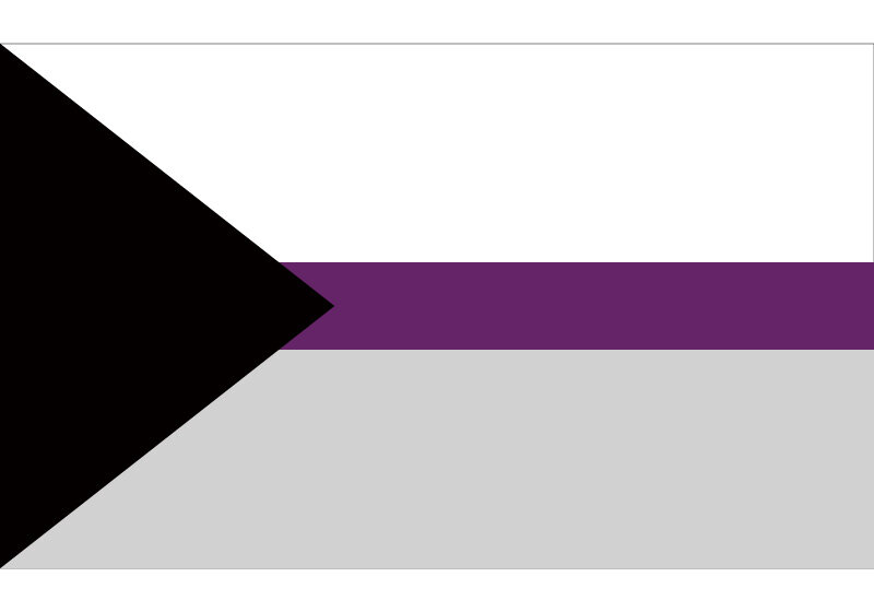 Bandera Demisexual separada propuesta para 90*150cm 60*90cm 40*60cm 15*21cm Bandera de mano para fiesta evento Oficina