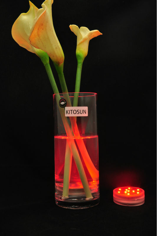 Kitosun-luces sumergibles impermeables para decoración de bodas, luces con control remoto, funciona con pilas, 10LED, 1 unidad