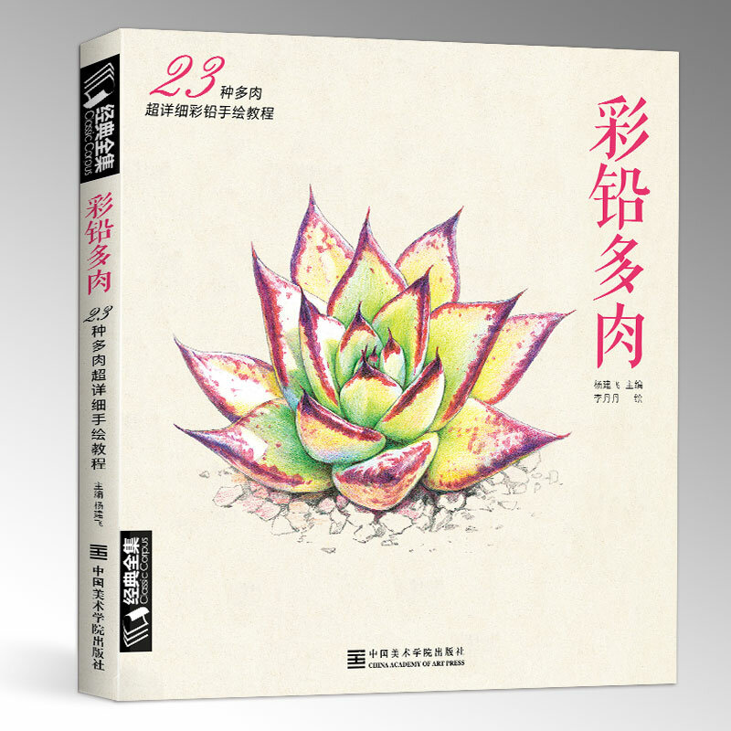 Nieuwe Kleur Potlood Basics Tutorial Boek: Leren 23 Stijl Vetplanten Art Boek