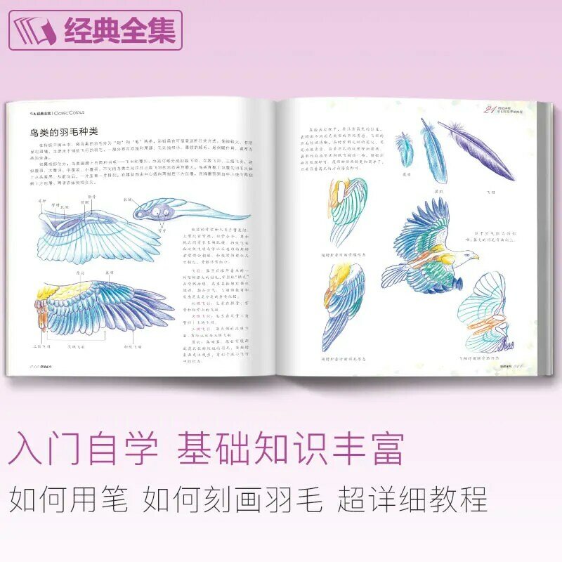 أحدث الصينية قلم رصاص زهرة الطيور دفتر رسم 21 نوعا من زهرة اللوحة المائية قلم رصاص ملون الكتاب المدرسي تعليمي الفن