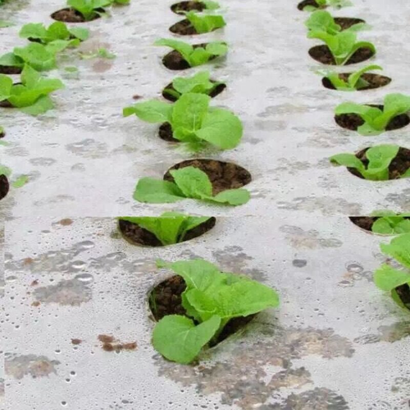 5 ~ 50M 5 Gaten Agrarische Groente Planten Cover Black Groeien Film Kas Warm Houden Anti Gras Plastic Mulch film