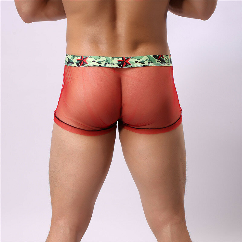 Boxer Sexy en maille élastique pour hommes, sous-vêtement transparent, Cool, Gay, adulte