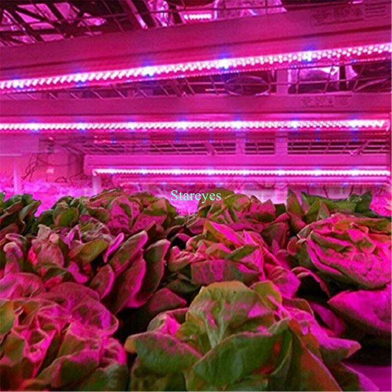 Bande lumineuse de croissance LED SMD 200, 5m, 5050 pièces, spectre complet, éclairage pour serre/chambre de culture hydroponique de plantes