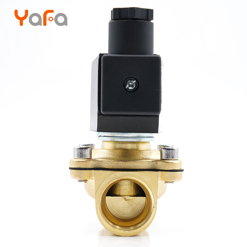 Normally closed , solenoid valve,water valve ,IP65 fully enclosed coil G3/8" G1/2" G3/4" G1" G1-1/4" G1-1/2"G2" AC220V DC12V 24V