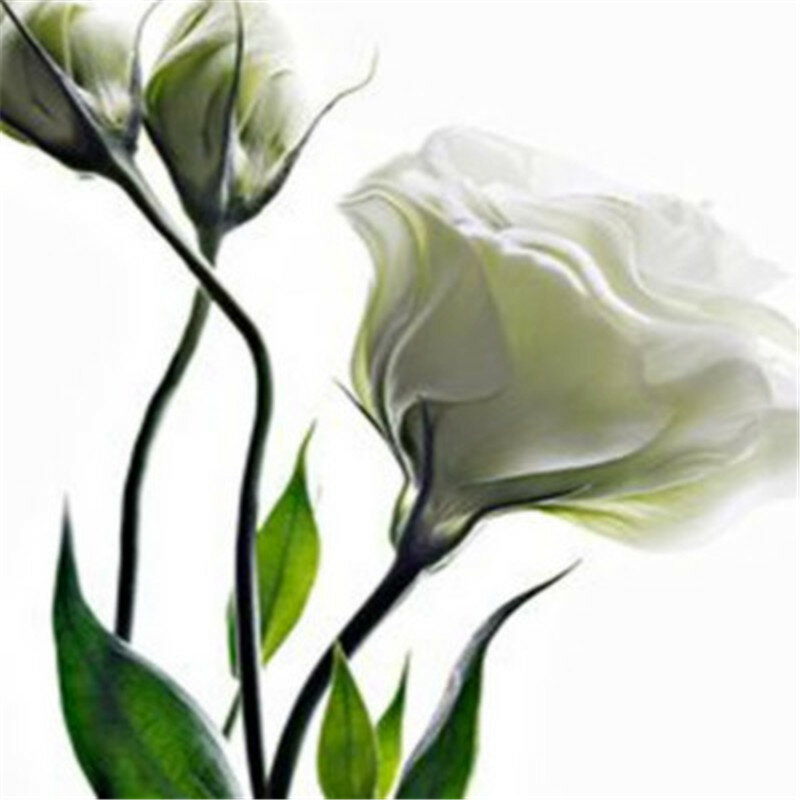 100 шт Eustoma Grandiflorum бонсай Планта цветок Лизиантус многолетний декоративный сад растение Sementes de Flores (ju geng)