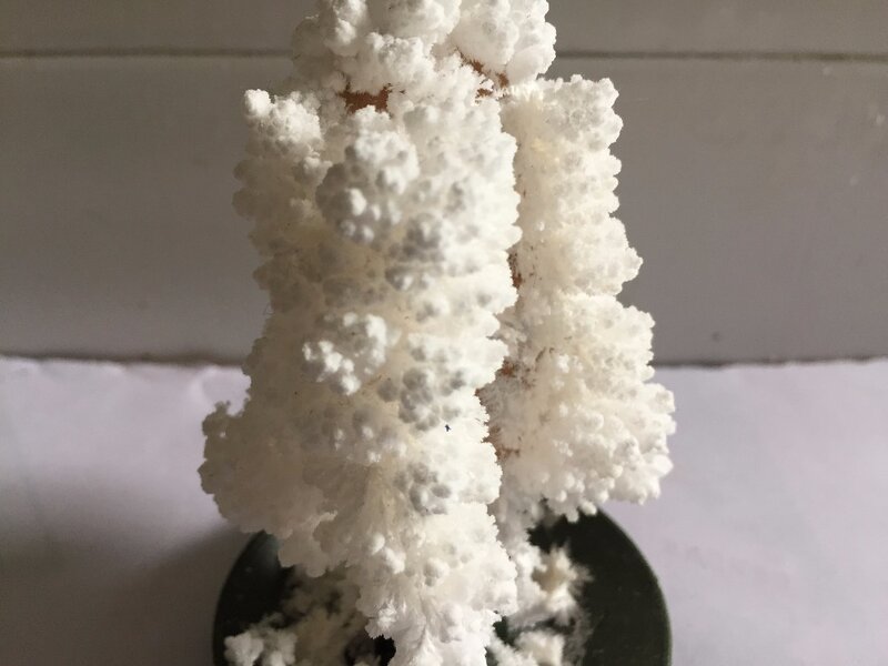 2019 50 pz 10cm bianco fai da te carta magica albero crescente alberi di natale giappone scienza educativo divertente antistress giocattoli novità