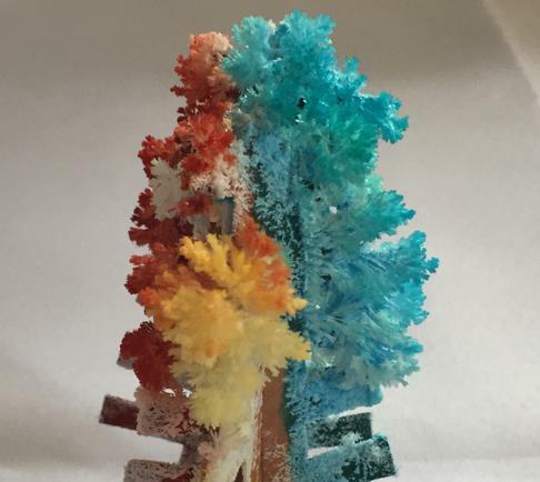 Árvore de papel mágica 10cm com 10 peças, faça você mesmo, multicolorido, crescer em papel, árvores de natal do japão, brinquedos engraçados para crianças, presente científico, 2019