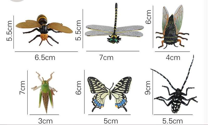Escarabajo de libélula de mariposa 3D de plástico grande para niños Modelo de insectos, juguetes de actividad científica interesante