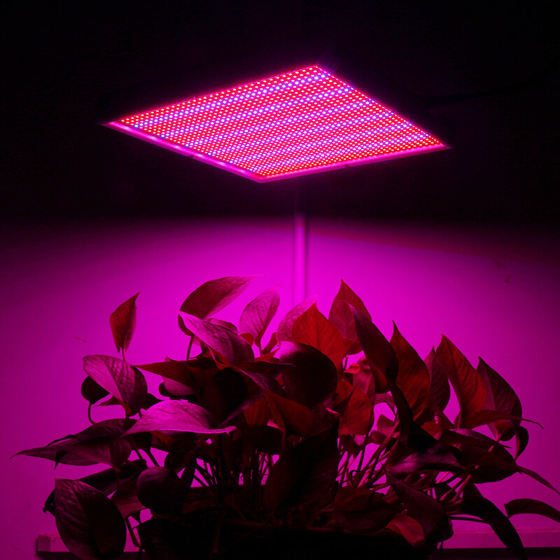 Luz LED de espectro completo para cultivo de plantas, lámpara roja y azul para plantas, acuario, flores, vegetales hidropónicos, 20W, 30W, 120W, 200W