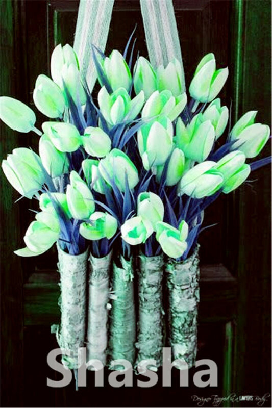 200 piezas de Perfume Tulip Bonsai de alto grado flor Bonsai más hermoso y colorido Tulip plantas perennes casa jardín decoración