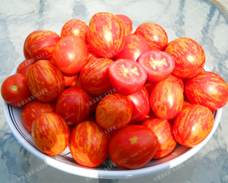 100pcs High Yields Tigerella Rare Tomato Seeds Bonsai Organic Vegetable& Fruit Seed,Potted Plant For Home&Garden Greenhouse Crop