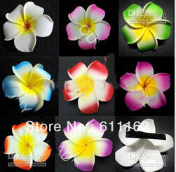 top quality 2015Free Shipping!! 100pcs Hawaiian Plumeria Foam Flowers 3 inch Head Only (6 colors mixed)