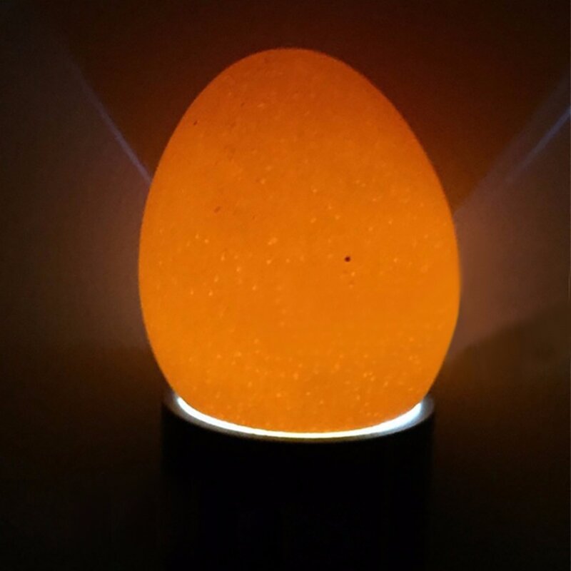 1 قطعة حاضنة Eggtester البيض تشميع مصباح 9 LED سوبر الباردة معدات حضانة الدجاج أداة شحن مجاني