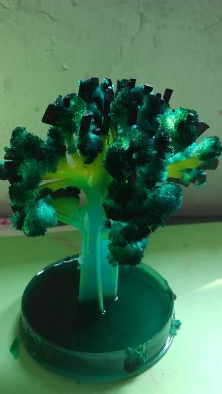 2020 135mm H 일본 녹색 큰 마술 종이 일본 사쿠라 나무 마법처럼 성장하는 나무 키트 데스크탑 벚꽃 재미 있는 아이 장난감