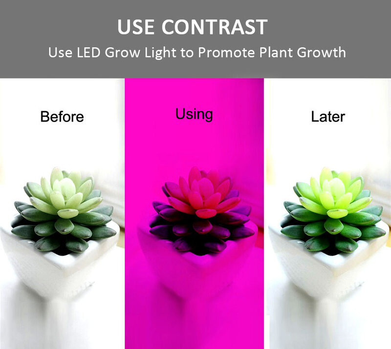 Luces LED para cultivo de plantas, luces impermeables de 50cm, 1m, 2m, 3m, 4m, 5M, 12v de cc, rojo, azul, 3:1, 4:1, 5:1, para cultivo de plantas hidropónicas de invernadero