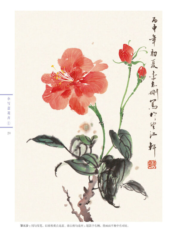 2 Stuks/Boek Chinese Traditionele Tekenboek Beginners Freehand Penseelschildering Boeken Plezierige Gekleurde Verf Bloem Leerboek