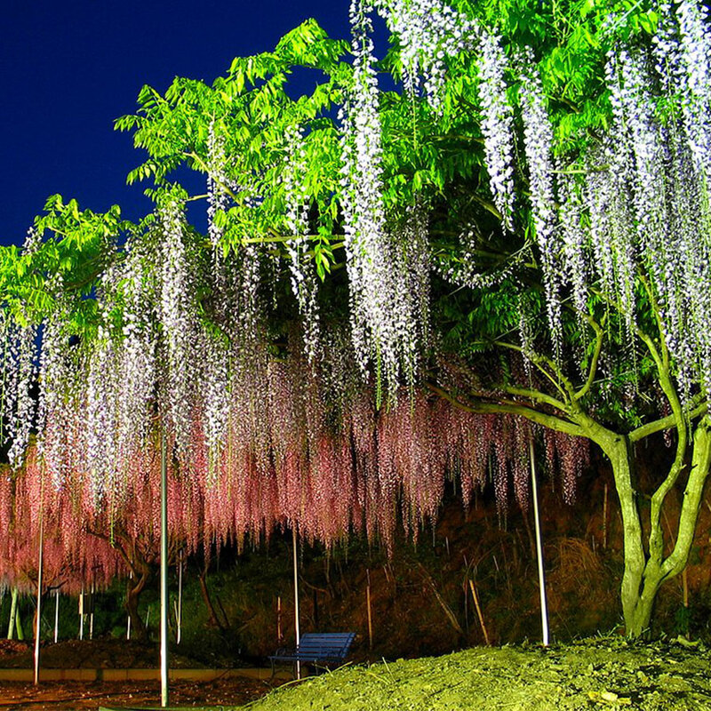 100CM Bunga Sakura Buatan Bunga Rambat Sutra Sakura untuk Pesta Pernikahan Dekorasi Langit-langit Karangan Bunga Palsu Lengkungan Ivy Diy Dekorasi Pesta