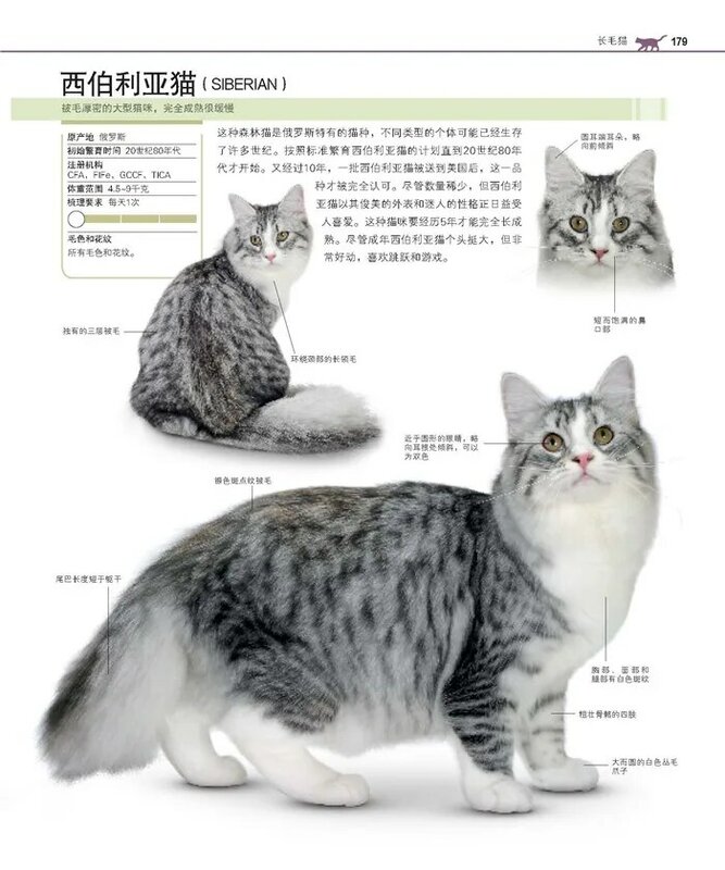 Libro completo de la raza de gatos para adultos, accesorio de la famosa encía domesticada del mundo, nuevo, 1 unidad