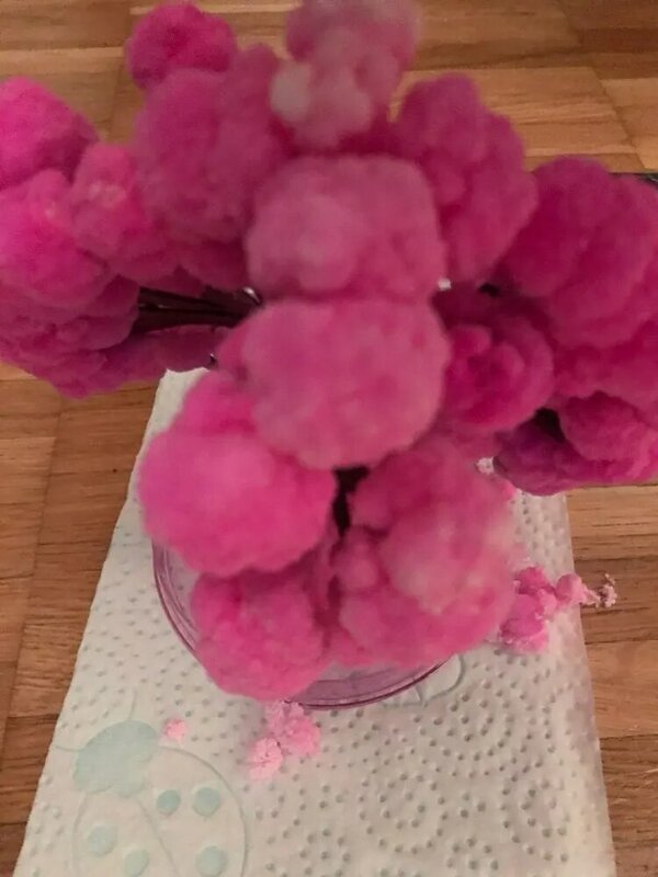2019 135mm H Pink Big Paper Japanese Magic Sakura Tree Magically Growing Trees Kit Desktop Cherry Blossom Educational Toys 2PCS