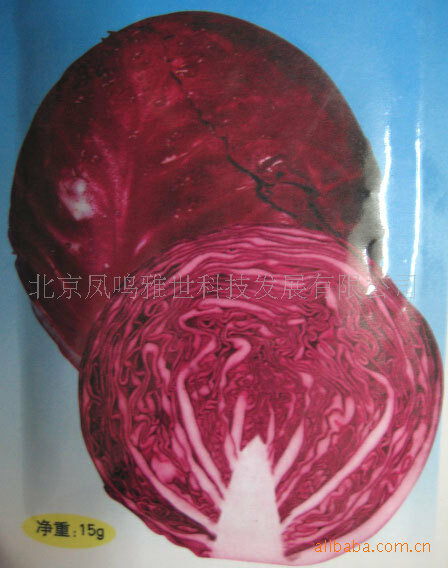 Ранняя фиолетовая капуста бонсай продажа овощей бонсай 100 шт.