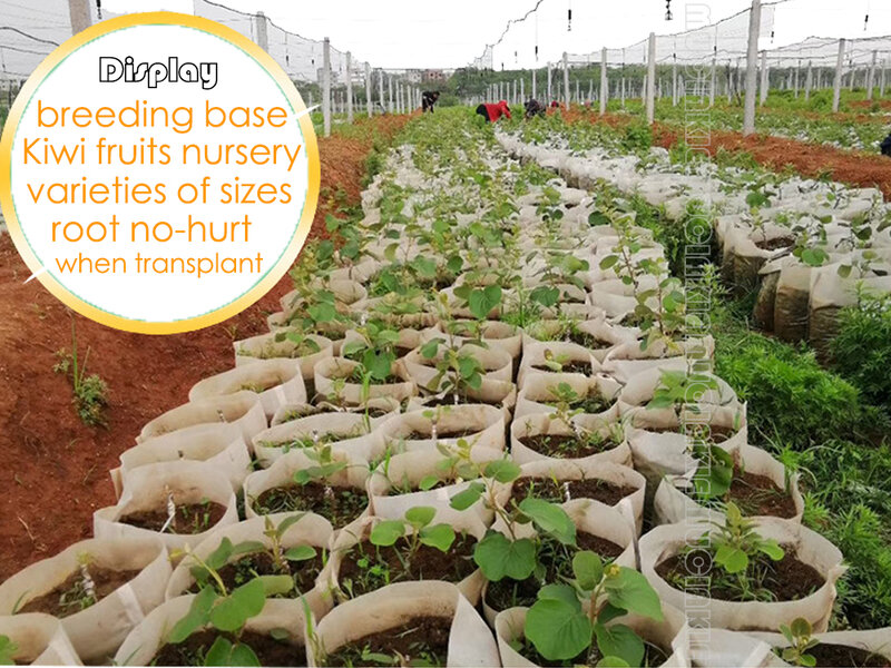 Sacos de berçário não tecidos biodegradáveis, Planta crescer sacos, potes de mudas, Eco-Friendly, aeração, plantio, tamanhos diferentes