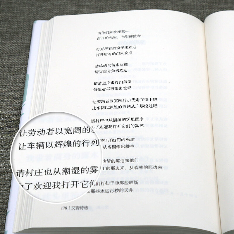 Ai Qing Geselecteerde Gedichten Tieners Primaire En Secundaire School Studenten Lezen Buitenschoolse Boek