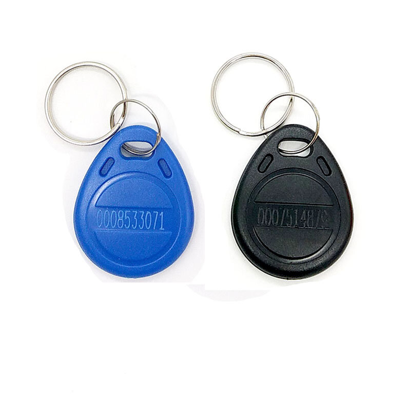 Porte-clés RFID 125KHz TK4100 EM4100, étiquette de proximité, 2 pièces