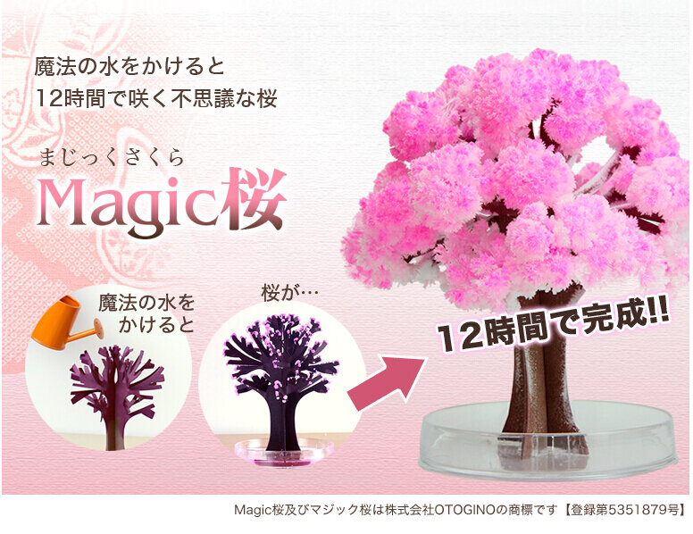 2019 14x11cm Rosa Big Wachsen Magie Papier Sakura Baum Japanischen Magisch Wachsende Bäume Kit Desktop Kirschblüte weihnachten 20PCS