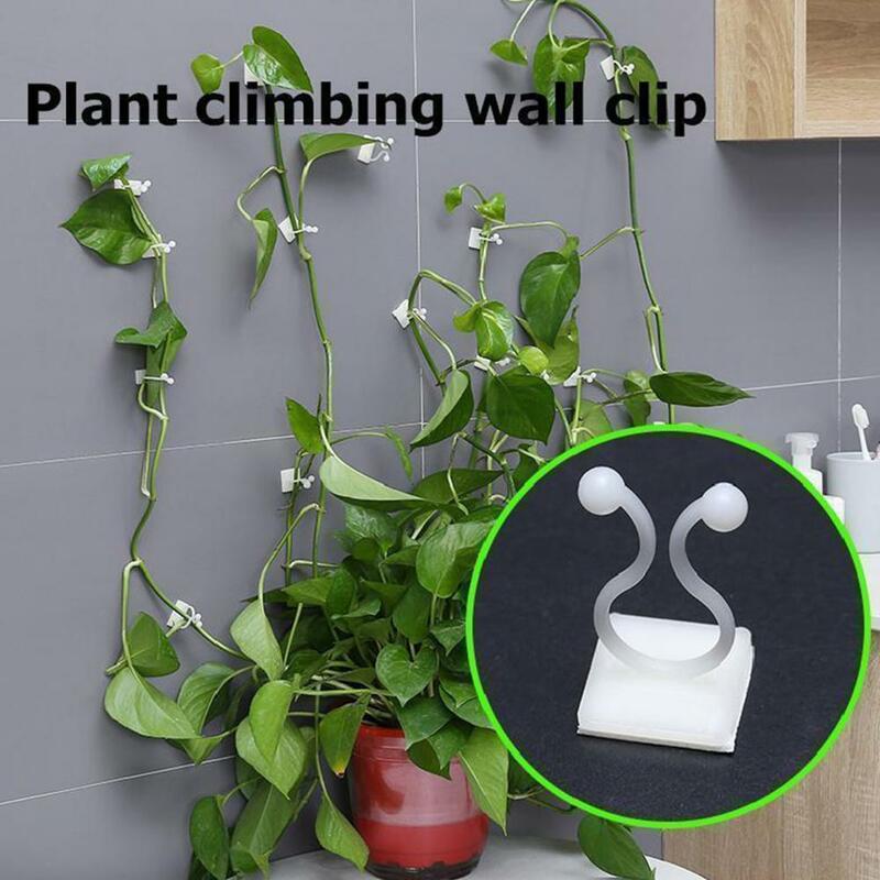 10 Teile/satz Platzsparend Anlage Clip Bohrer Kostenloser Flexible Klettern Wand Grüne Pflanze Fixer Reben Haken für Garten