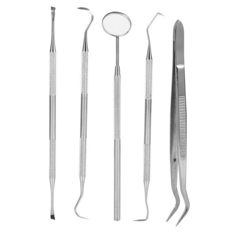 5 Pieces Set Stainless Steel Dentist Dental Care Cleaning Teeth Whitening Dental Floss Dental Hygiene Kit Plaque Remover Set Den