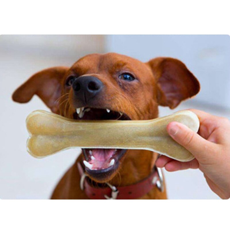 Couro Couro Mastiga Brinquedos para Cães Osso, Dentes Molares, Vara Limpa, Comida Treats, Ossos Suprimentos, Acessórios para Filhotes, Novo