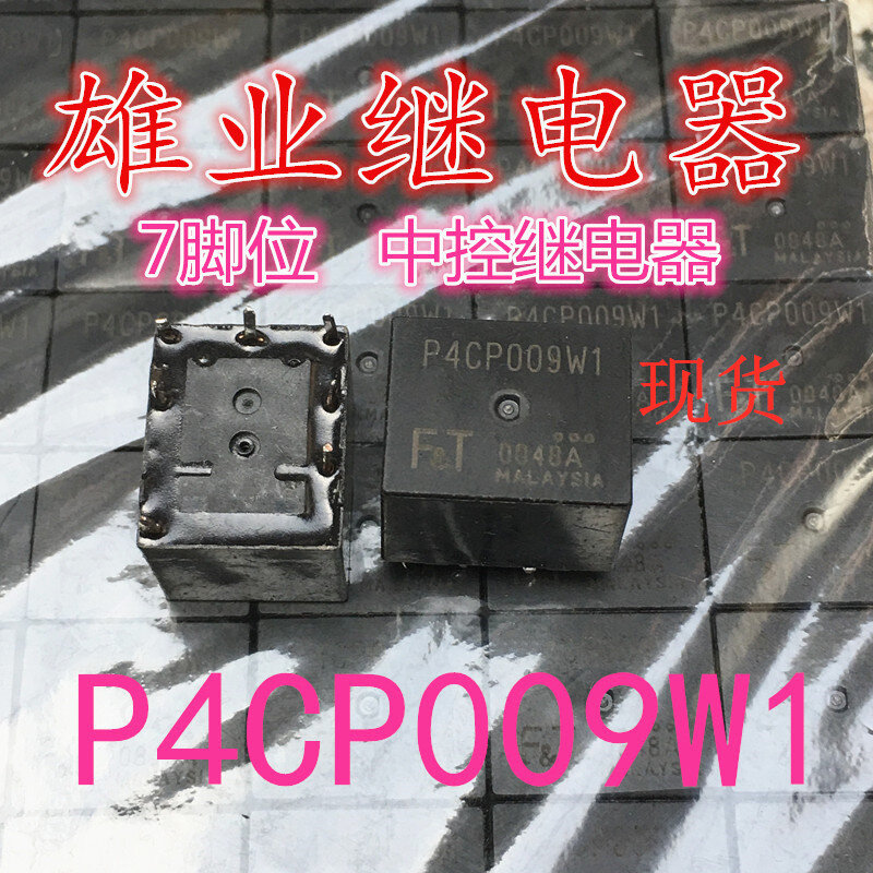 P4CP009W1