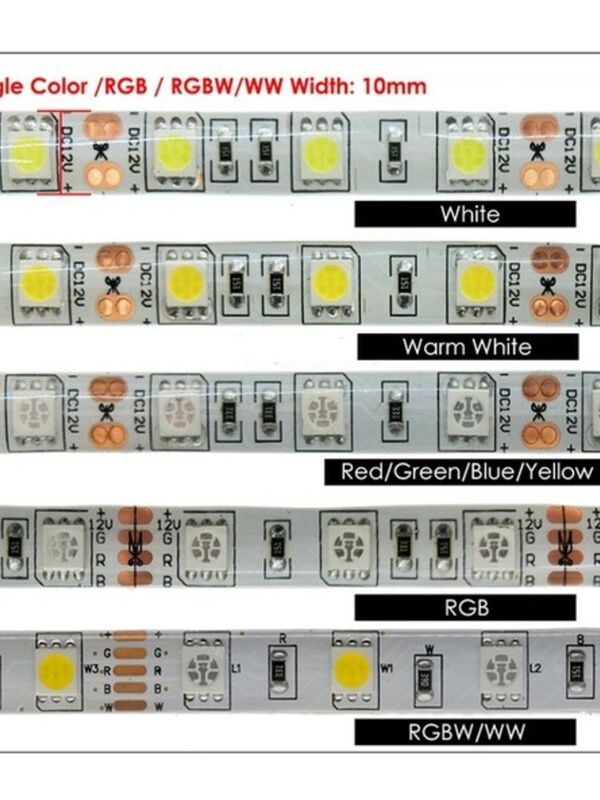 Impermeável flexível RGB LED Light Strip, fita lâmpada, fita TV Backlight, branco quente, 5050, DC 12V, 24V, 60 LEDs, MLed, 5 m