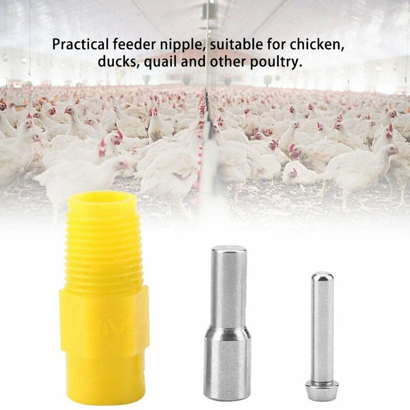 Chicken Drinking Fountains Steel Columns Drinking Ball Type Pheasant Feeding Poultry Farming Supplies