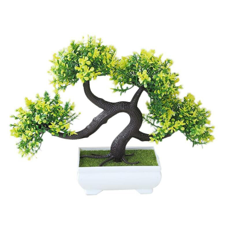 Bonsai Seeds Tree Plant Potted Flowers Decor Purifier Absorbent Home Decoration