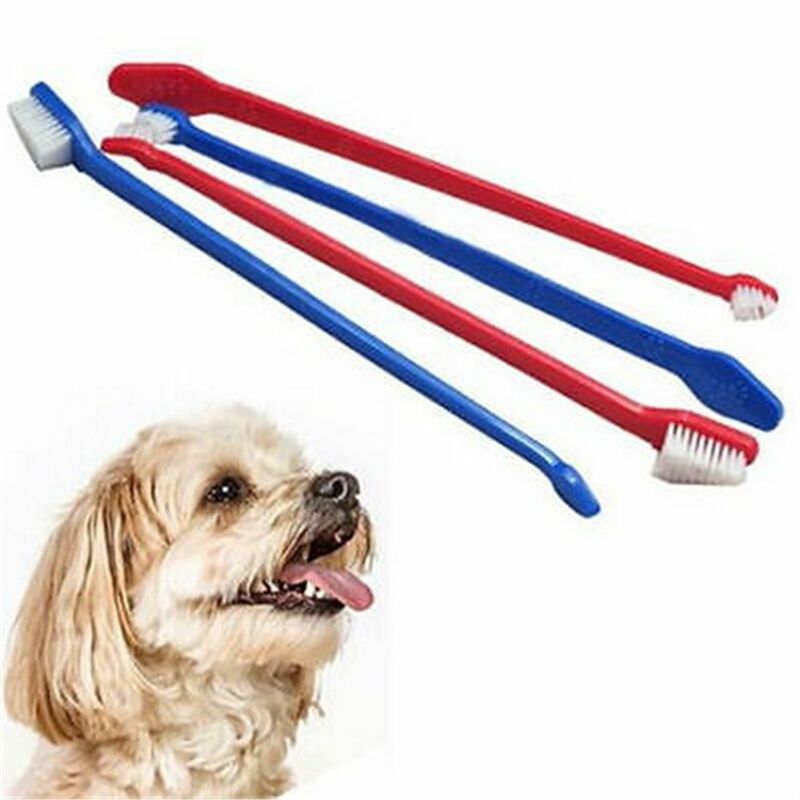 Juego de cepillos de dientes de doble punta para mascotas, 2 piezas, para el cuidado de la salud de perros y gatos, Color aleatorio