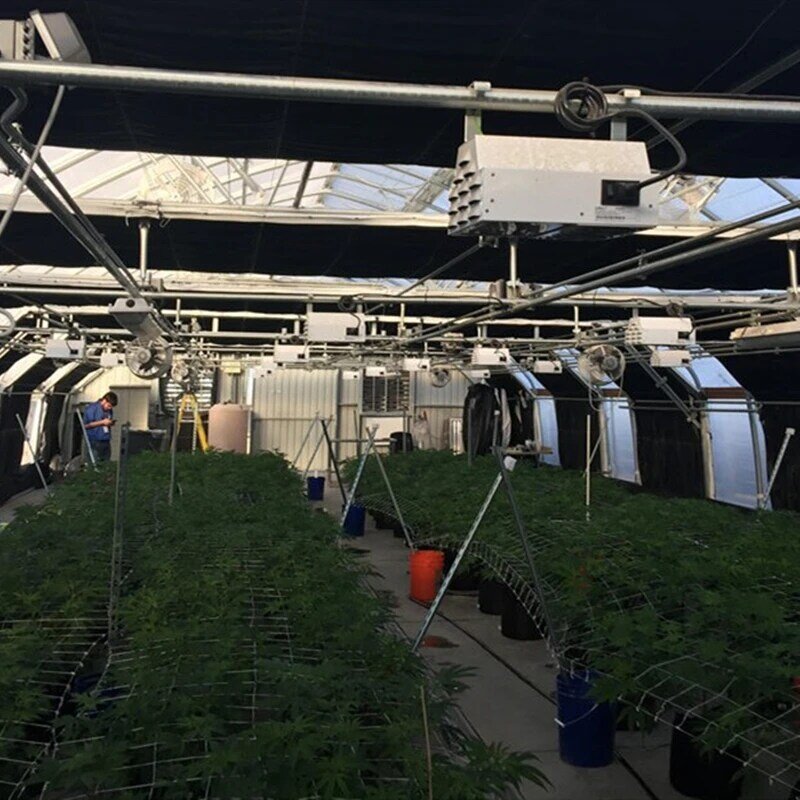 All Black Greenhouse System, estufa para cultivo de ervas