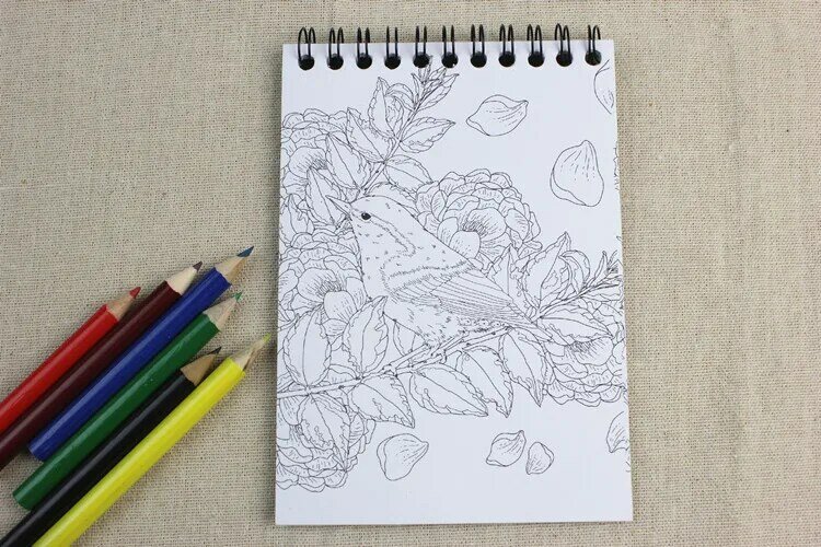 Livre de coloriage style jardin secret, carte à gratter + 6 crayons de couleur