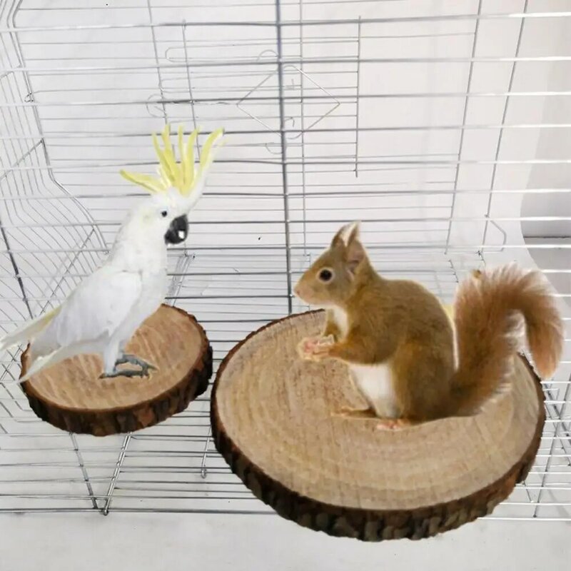 Natural Wooden Logs Board Squirrel Hamster Parrot Bird Wooden Board Jumping Platform Pet Stand Play Toy Accessories Pet Products