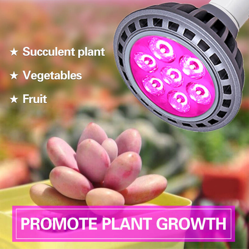 Luz LED Planta Crescer Luzes Phytolamp para Plantas Sistema De Crescimento Hidropônico Phyto Lâmpada Indoor Flower Plants Crescimento Tenda Growbox