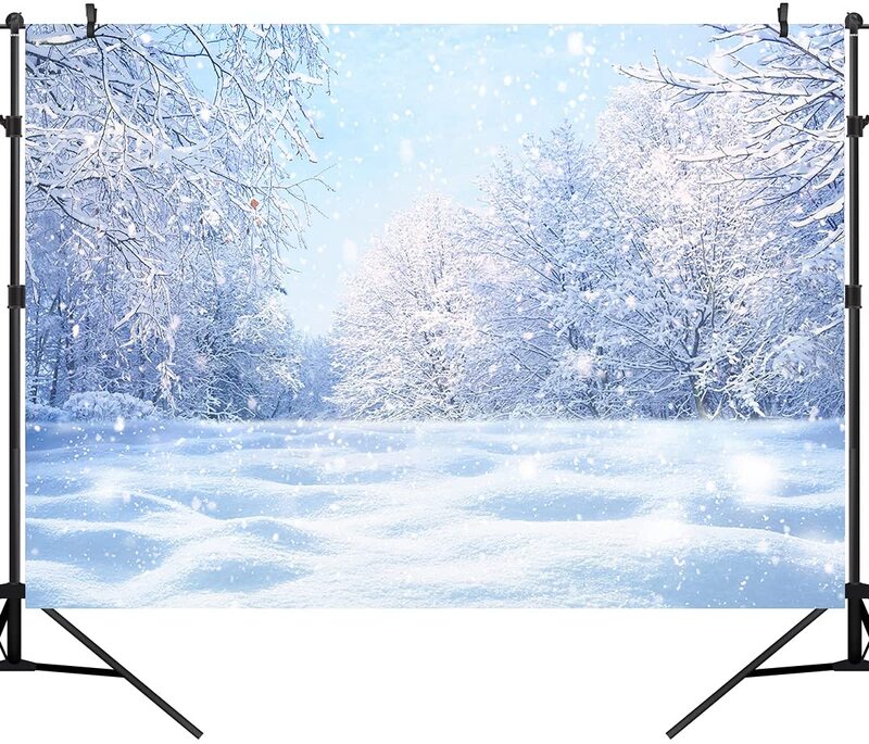 Fondos de escena de Navidad de invierno, Fondo de fotografía de bosque nevado blanco, País de las Maravillas, copo de nieve, naturaleza, paisaje nevado, Banner