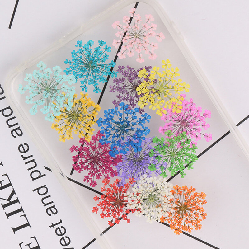 12/Pcs Pressed Dried Flowers Set Plant Pendant Dry Making Craft DIY Accessory Artificial Real Flower For Home Party Decorations