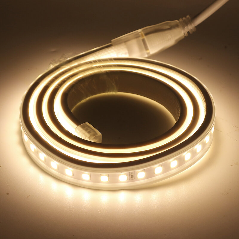 Bande lumineuse flexible à LED avec prise UE, ruban d'éclairage étanche IP67 IC Control, 5630, 4040, 220V, 240V, 1m, 5m, 10m, 50m, 100m