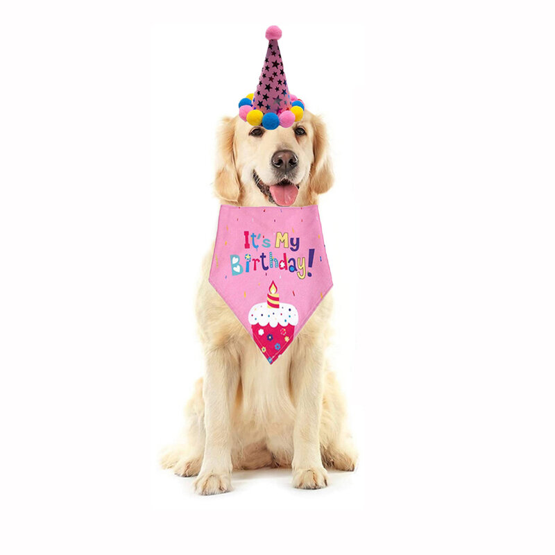 ペットの変装,動物の帽子,かわいい誕生日のキャップ,猫と犬のスーツ,アクセサリー