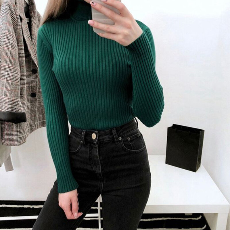 Women Sweaters  Winter Autumn Turtle Neck Sweater Elastic Slim Knitted Pullover Bottoming Sweater Women Pullovers Sweaters